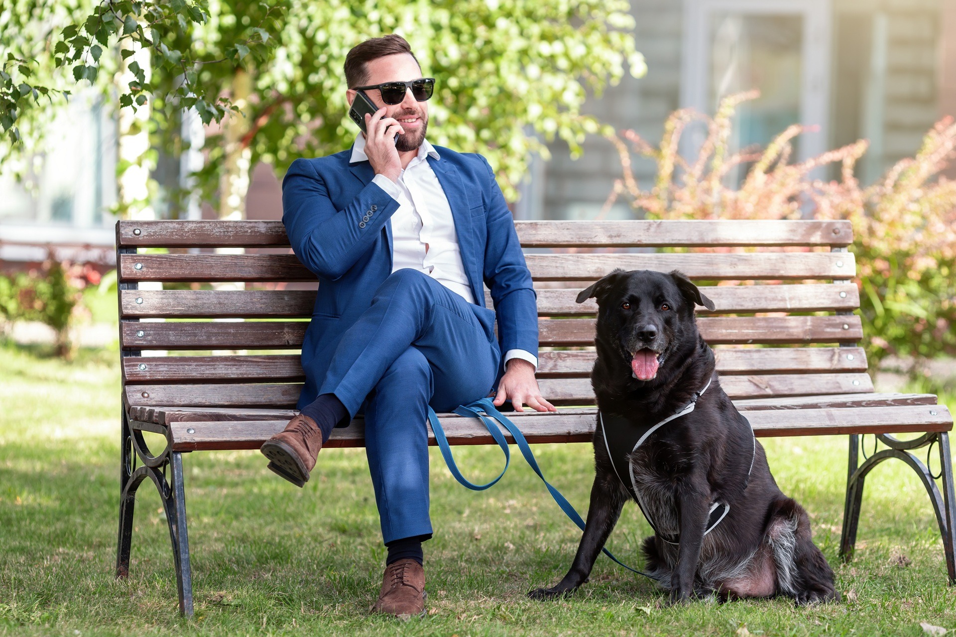 Geschäftsmann mit Hund auf Bank, Hundefutter purinarm