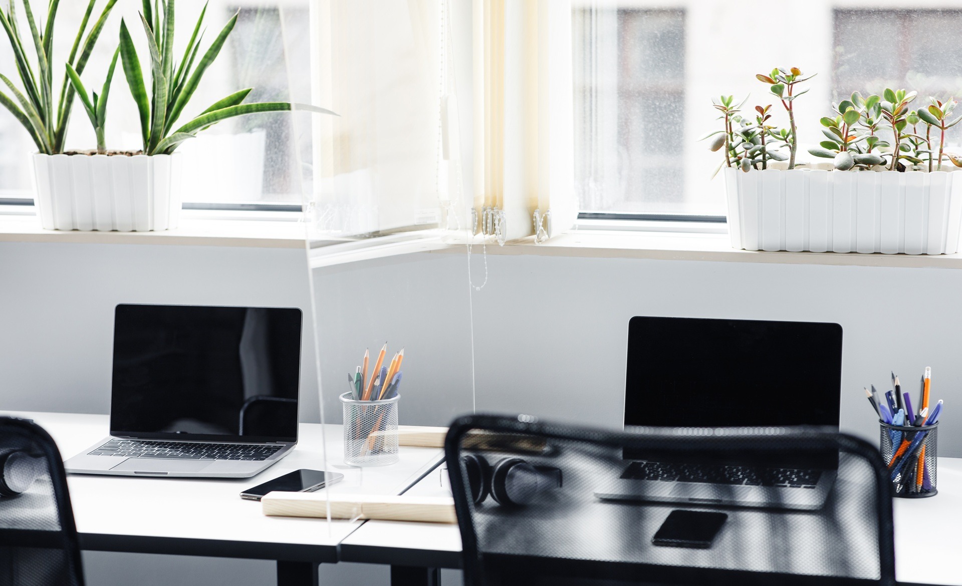 Helle Büroarbeitsplätze mit Pflanzen und Laptops | Möbelbau Berlin